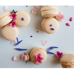 Atelier macarons