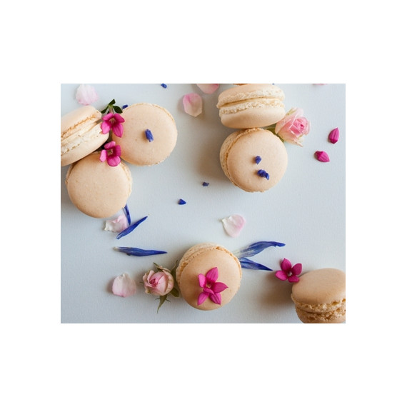 Atelier macarons